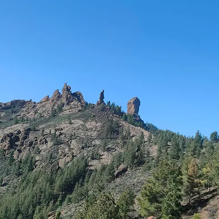 Palmas By Youroom Vandrarhem