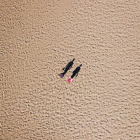 Hostel Palmas By Youroom