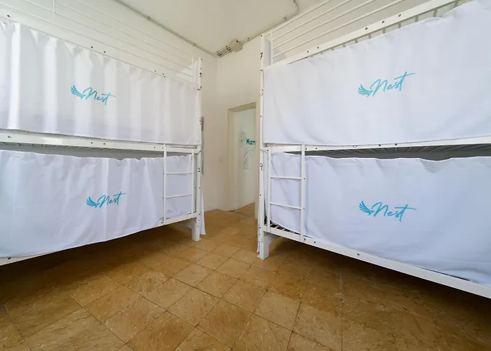 Hostel Palmas By Youroom